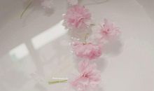 亲情关于的句子说说心情