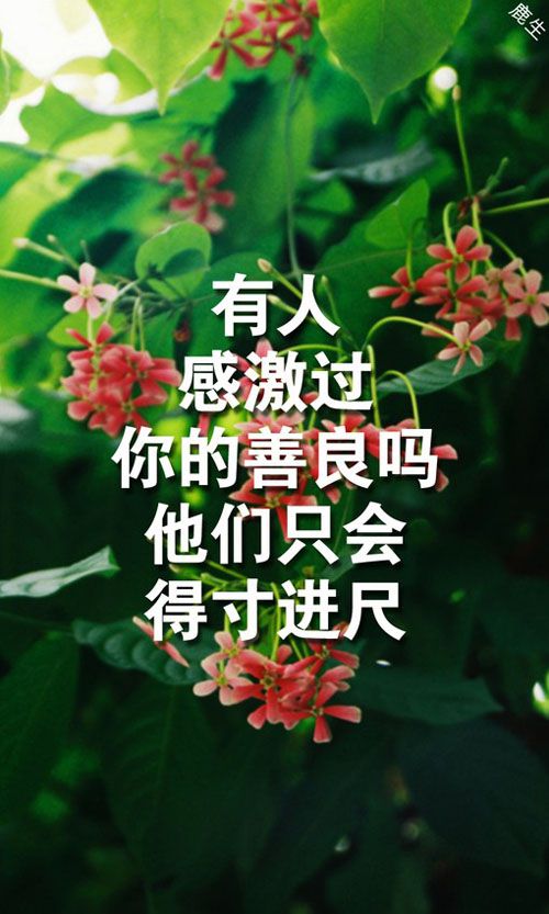 别人不在乎你的句子