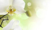 简单亲情可贵的句子