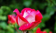 触动灵魂的句子