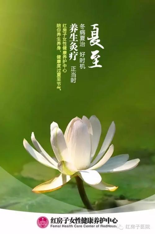 平静的句子