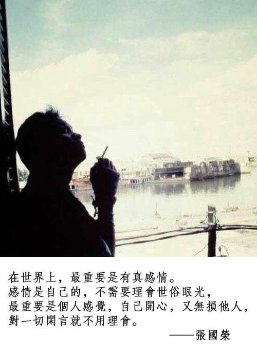 张国荣的语录