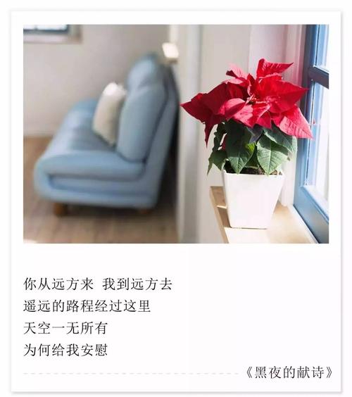 海子的经典语录