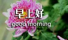 感恩祝福短信2020