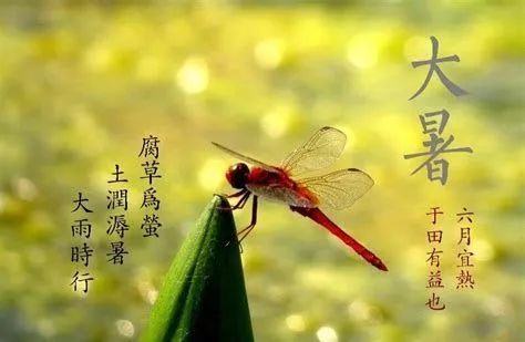 描写大暑的简单古诗整首9首 1