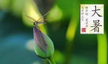 描写大暑的简单古诗整首9首