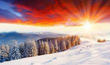 杨乐乐经典语录