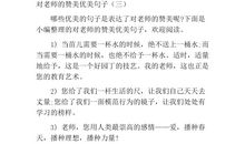 赞扬女性的句子