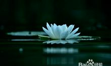 想把心静下来的句子