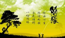 随缘的抒情句子