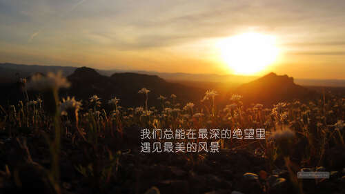 50.瞄准山顶的人不会贪恋山腰的景色。