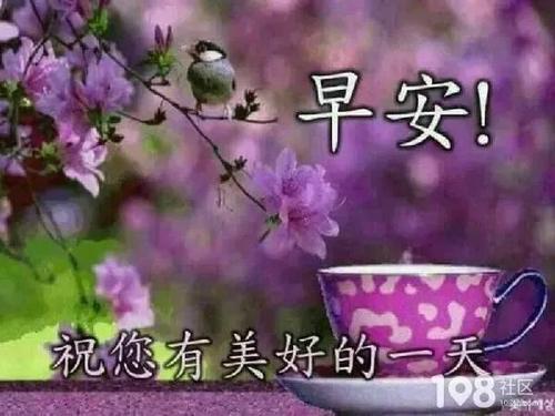 微信祝福留言