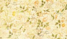 给客户的清晨问候短信