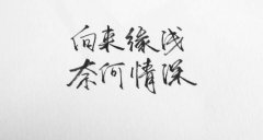 伤感的句子想流泪 5