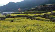 团队口号霸气押韵大全