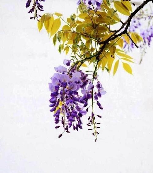 描述思想开放的句子
