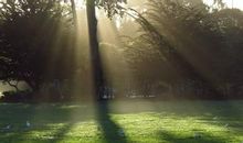 关于春天清晨的优美句子