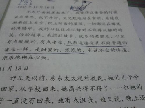 描述歧义的句子