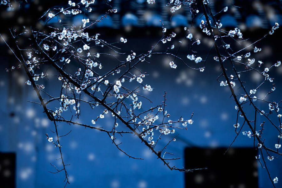 10.在下雨天，我是唯一一把撑着雨伞的人，而你不在那儿。