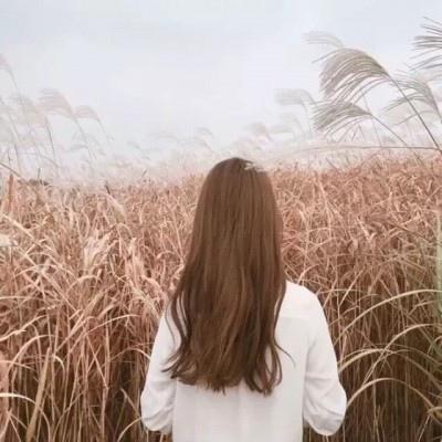 9.我不怕许多艰辛，因为天堂嫉妒我们的爱情太美了。