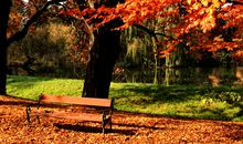 关于秋天遐想的优美句子