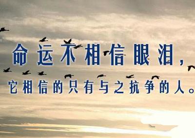 不信任判决