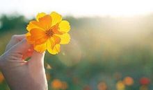 有关美好的句子