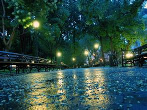 20.在下雨天，我喜欢独自坐在窗户旁边。在风中，水蓝色玻璃沿着细小的雨滴滑落，就像由细线连接的晶体一样，发出银白色的光，雨水在碎石上歌唱，就像猫的手指的微小痕迹一样。