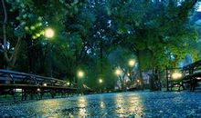 关于雨天的优美句子