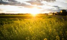 关于景色的优美句子