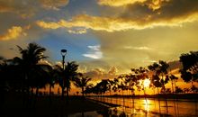 雨后黄昏的句子