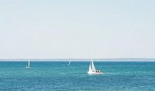 亲情和人性的句子