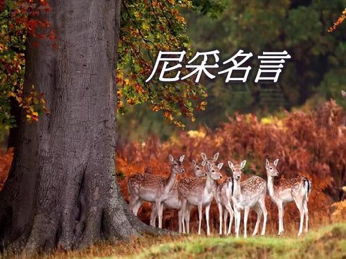 尼采的名言