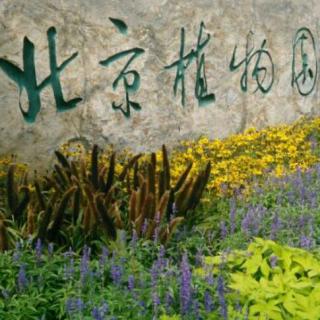 花好漂亮