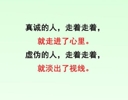 虚伪的句子