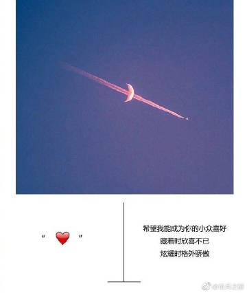 苍岳经典语录