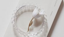 俏皮又可爱的八字个性签名短句 适合做签名的个性说说