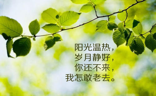 快乐的句子