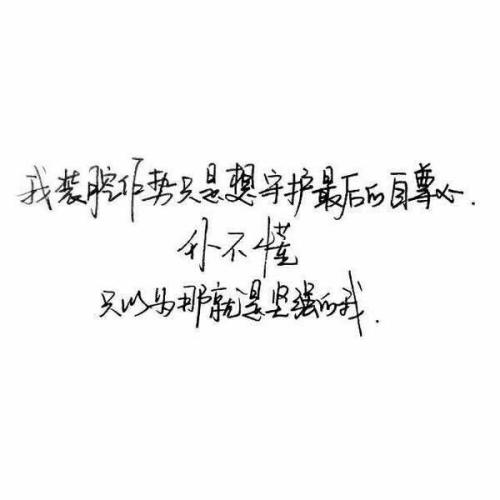 全新的审美句子