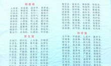 有关文明的句子