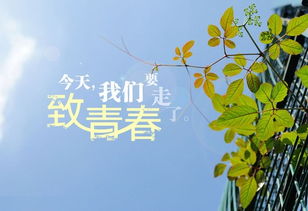 8.再见学校，再见教室，再见老师，再见同学，再见女孩我迷恋上了。