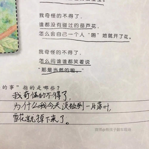 句子中的注释
