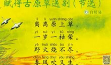 表示惜别之情的诗句