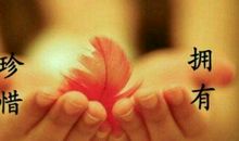 珍惜的抒情句子