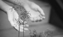 美到心碎的句子