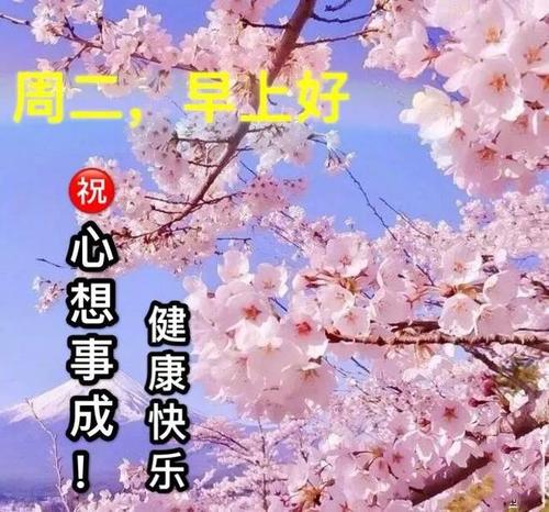 问候语