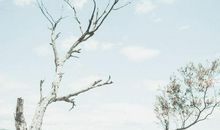 形容分开心扉了的句子 打开心扉的句子