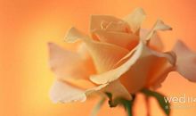 三周年纪念日的句子