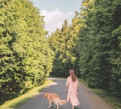 因姐妹失落心痛的伤感句子说说心情 2