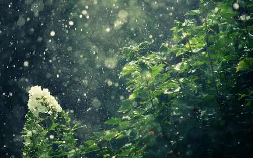生病下雨心烦的说说句子